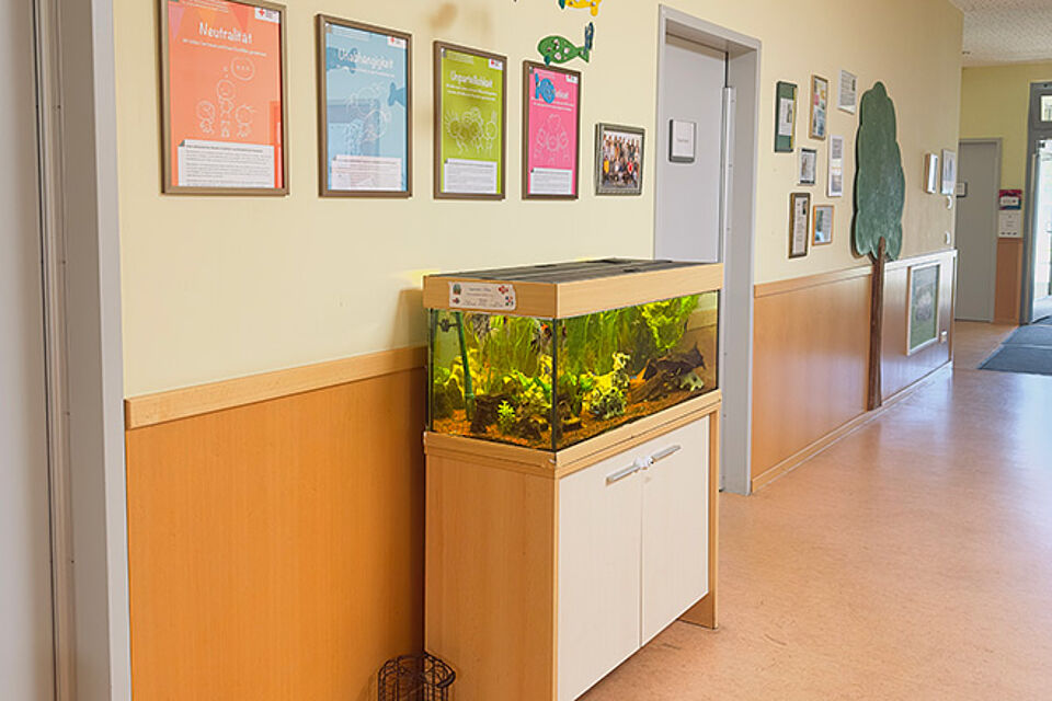 Unser Aquarium im Eingangsbereich