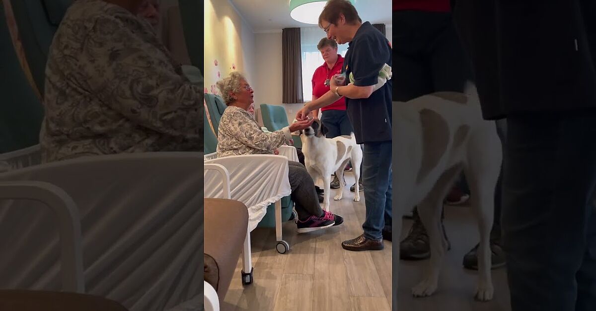 Mit Fell und Freude in den Oktober